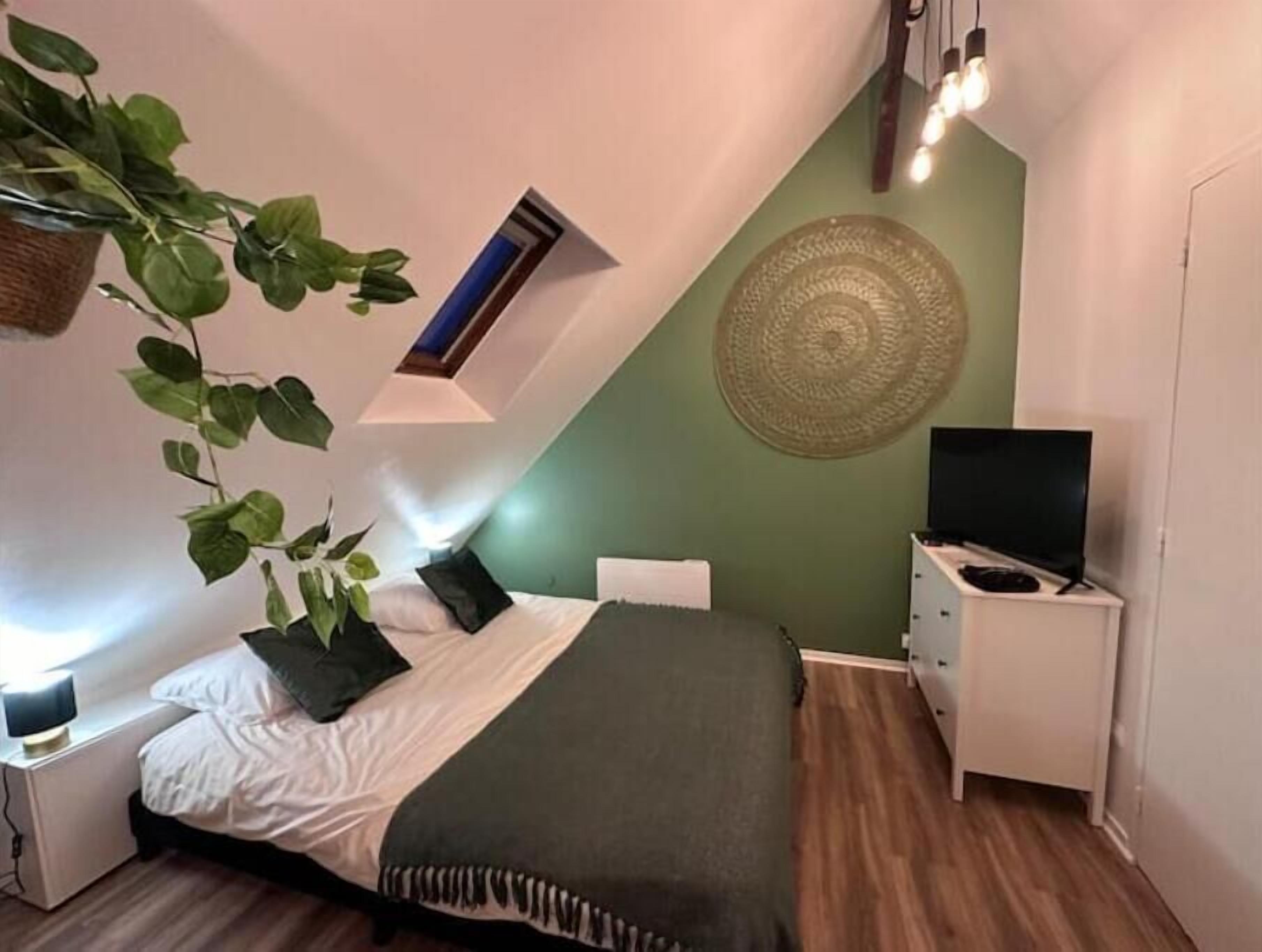 A bedroom with a bed, a bedside table, a TV, a hanging plant, and a wall-mounted light fixture.