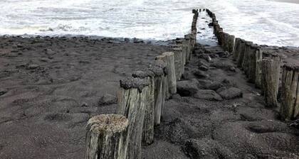 Bazien luxe kamer kamer bij strand en Kreek, Natuur en veel faciliteiten