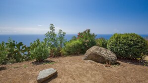 Un paysage rocheux à la végétation clairsemée, offrant une vue dégagée sur la mer.