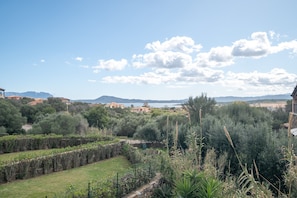 Paisaje rural con cielo despejado, montañas lejanas y diversa vegetación.
