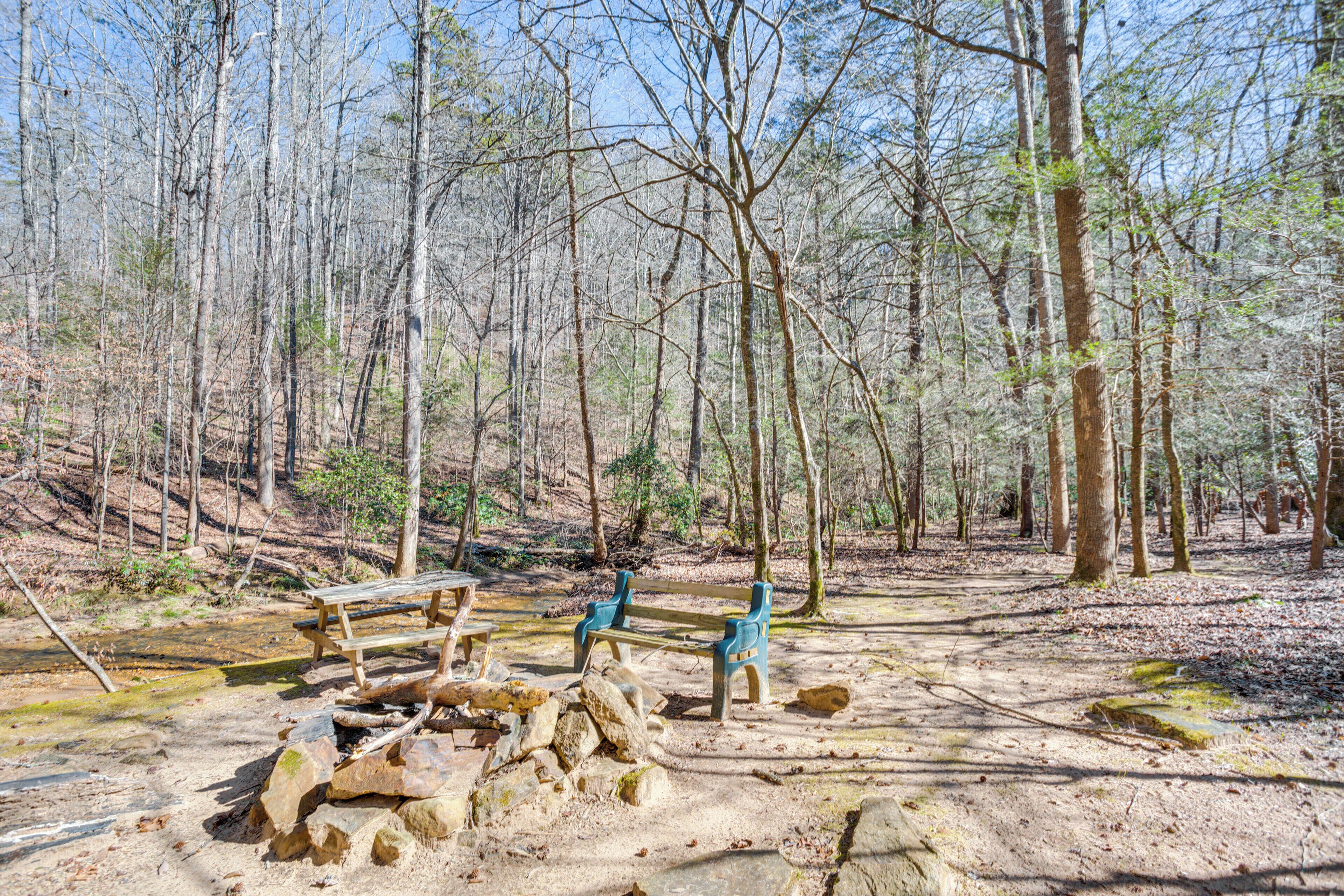 A forested area with benches and a small stream.