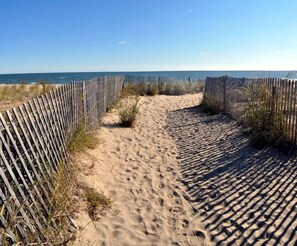 On the beach