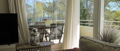 Smart TV, DVD player, books