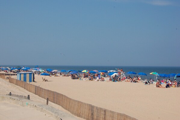 Nära stranden