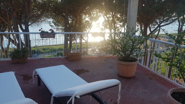 Terrace/patio - Vacation home a few meters from the sea full optional with pets allowed (Belvedere Marittimo)