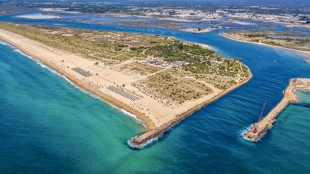 An aerial view of a coastal area with a beach, a marina, and a peninsula with buildings and vegetation.