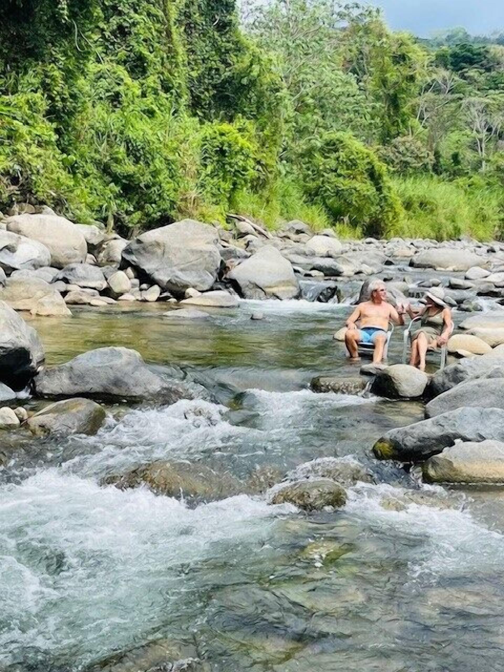 A river with rocks and greenery.