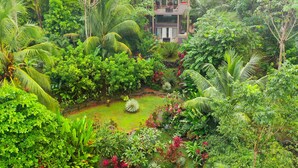 A two-story house surrounded by lush greenery and a small pond. - A Sloth Riverfront Villa with Jacuzzi Pool (Bahía Ballena)
