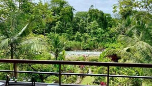 A lush tropical garden with a river, palm trees, and dense foliage. - A Sloth Riverfront Villa with Jacuzzi Pool (Bahía Ballena)