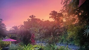 A lush garden with a variety of tropical plants and a small stream. - Toucan Riverfront Villa with Pool Near A Beach (Uvita)