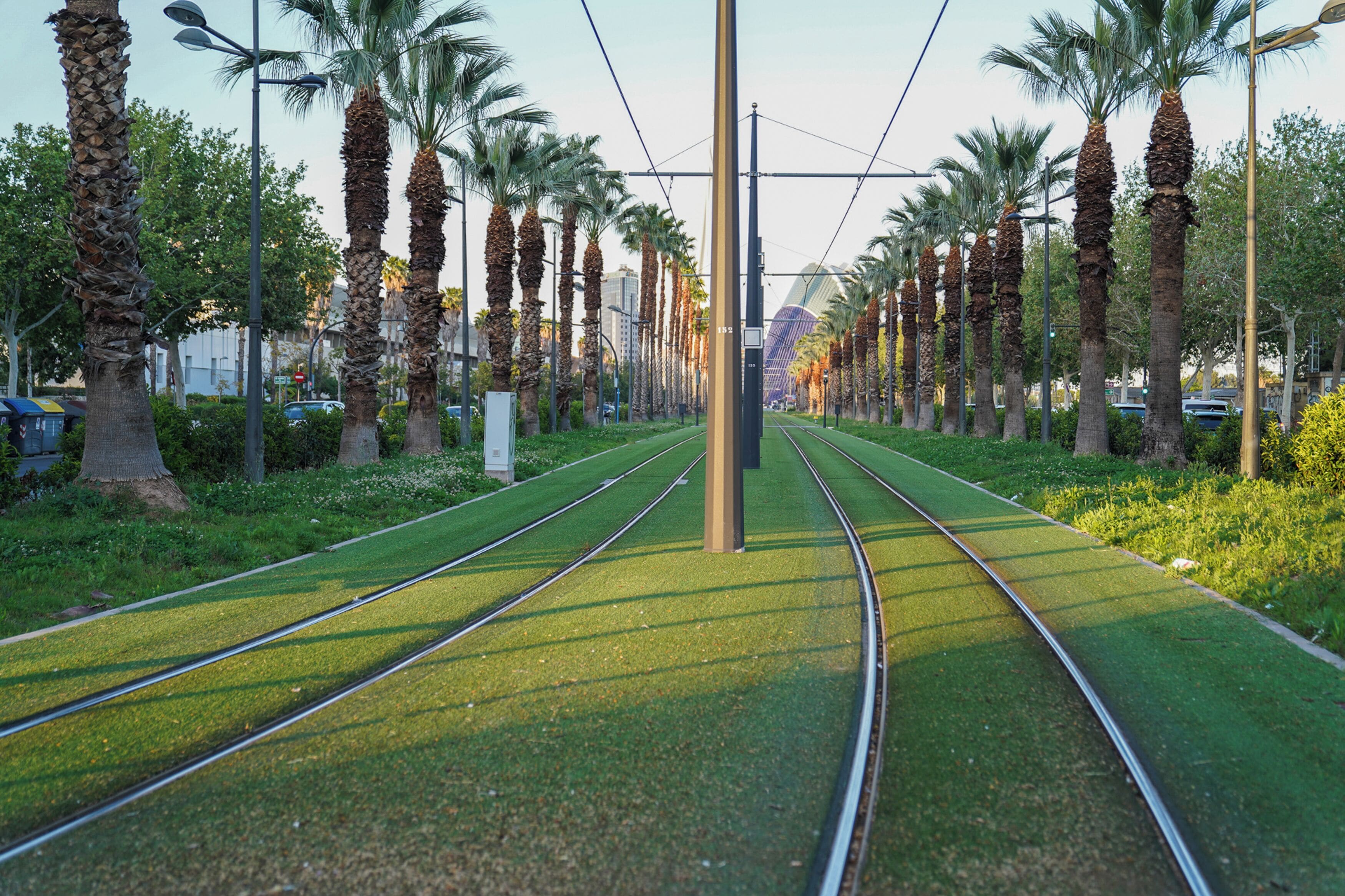 A railway track with green artificial grass, palm trees, and street lamps.