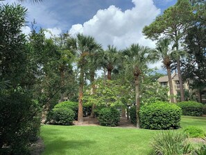 Property grounds - 3 bed 2bath just steps to Coligny Plaza & Beach (Hilton Head Island)