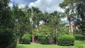 Un jardín bien cuidado con palmeras, césped impecable y una vegetación densa.