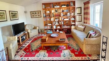 Smart TV, fireplace, DVD player, books