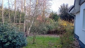 Un jardín residencial con césped, un árbol pequeño y abundante arbustal.