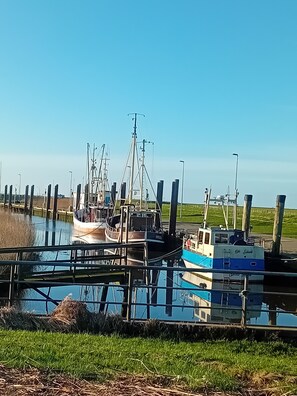 Marina - Welcome to the vacation home "Minzhuus" (Wurster Nordseeküste)