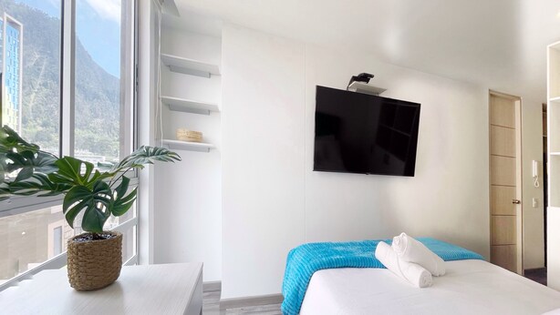 A hotel room with a bed, a desk, a potted plant, a TV, and a view of mountains.