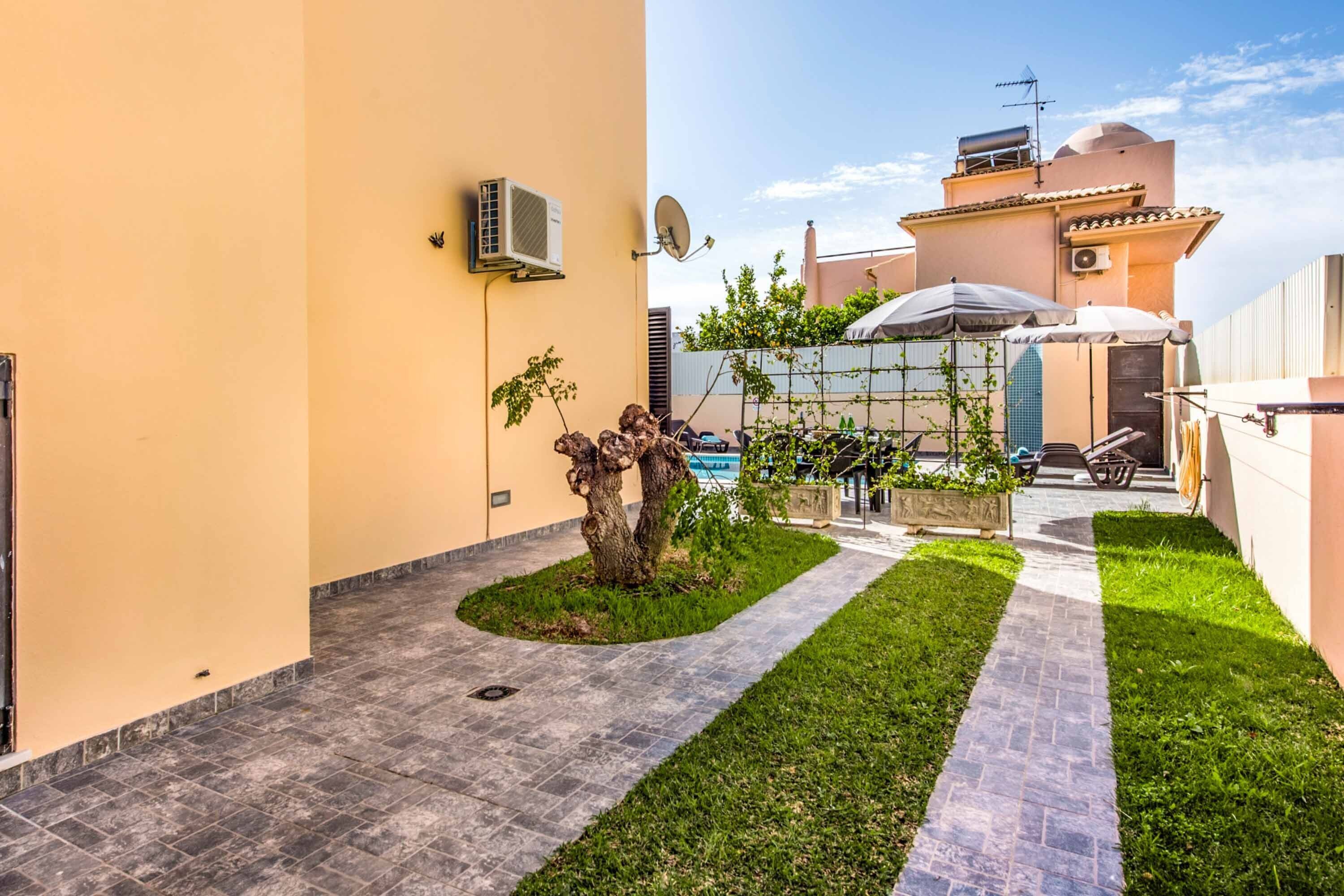 A courtyard with a paved walkway, a tree, and a building with a satellite dish.