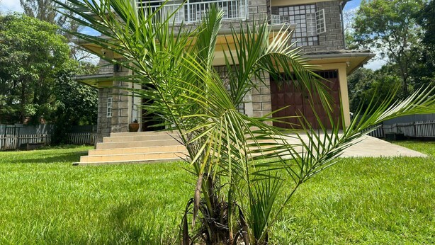 A two-story house with a balcony, a stone facade, and a well-maintained lawn.