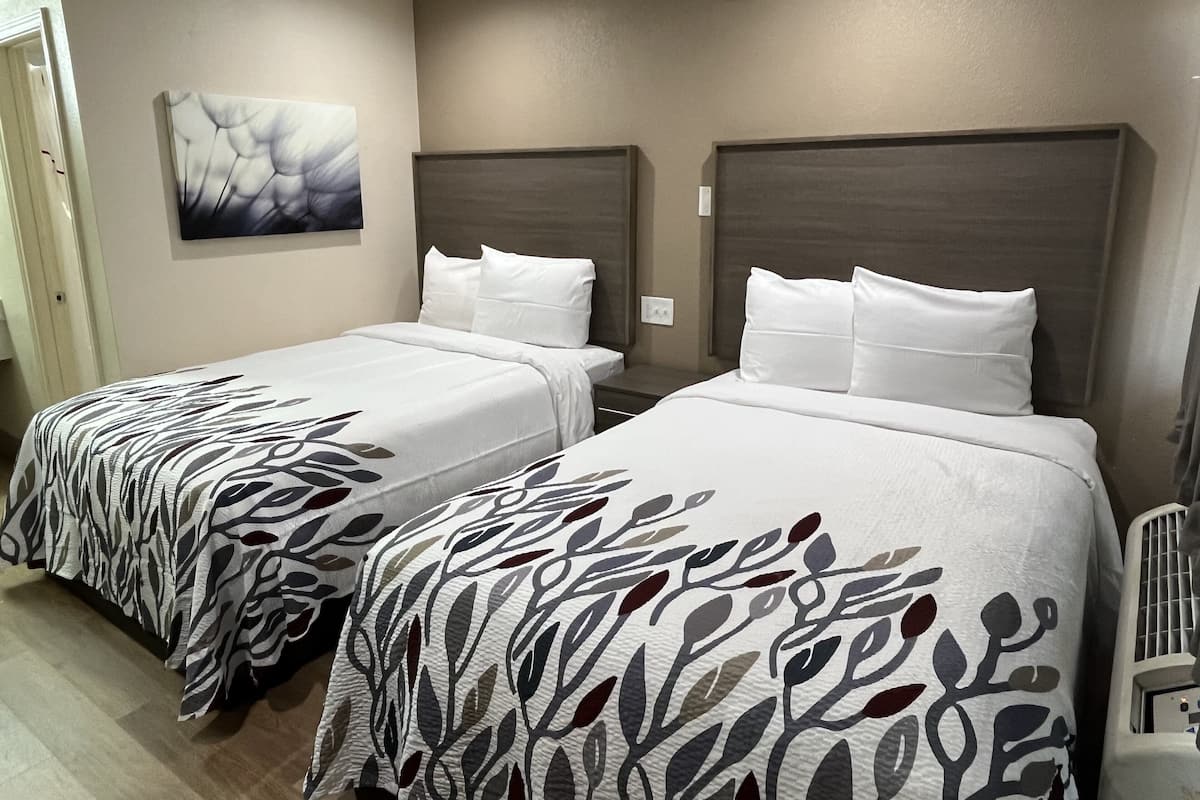 Een hotelkamer met twee bedden, elk voorzien van een gebeddel met een patroon en witte kussens. Aan de muur hangt een schilderij en er is een plafondlamp.