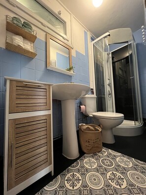 Shower, hair dryer, towels, toilet paper
