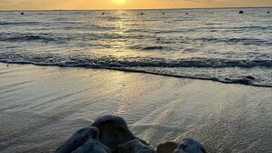 Escena de playa con el sol poniéndose sobre el océano, olas suaves lamiendo la orilla y un grupo de algas marinas o elementos similares al algas en primer plano.