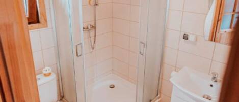 A small bathroom with a glass shower enclosure, a toilet, and a sink.