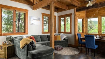 Smart TV, fireplace, books, stereo