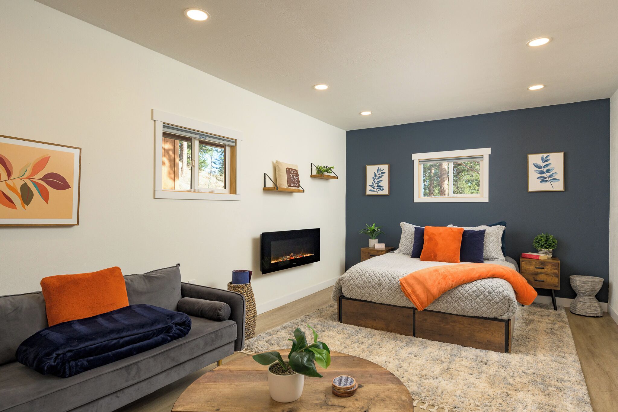 Smart TV, fireplace, books, stereo