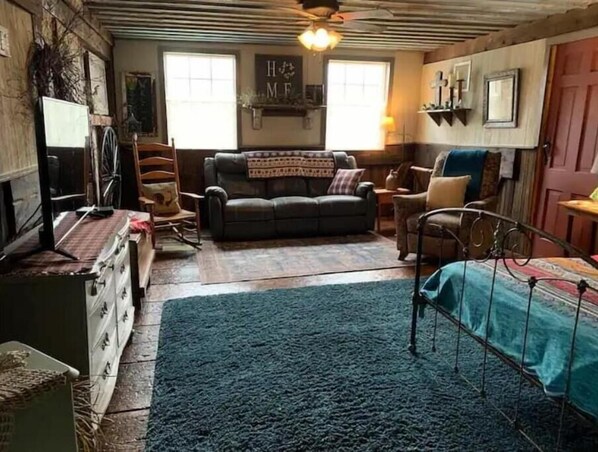 Smart TV, DVD player, books, video library