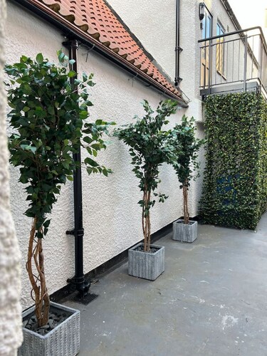 12 Plants Yard Worksop