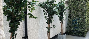 12 Plants Yard Worksop