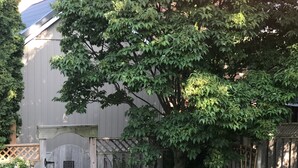 Un jardin avec une clôture en bois, une terrasse avec deux chaises, une table, ainsi que diverses plantes et fleurs.