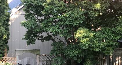 Stone's Throw Stratford - The Loft