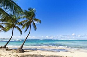 Sun-loungers, beach towels