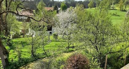 Ferienwohnung in Viechtach