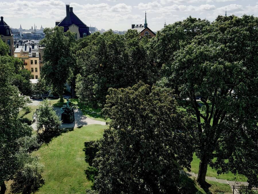 Um parque com árvores e um caminho, rodeado por edifícios com estilos arquitetônicos distintos.