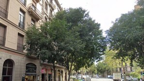 A street lined with trees and buildings, including a visible hotel sign. - Hostal Laia by gaiarooms (Barcelona)