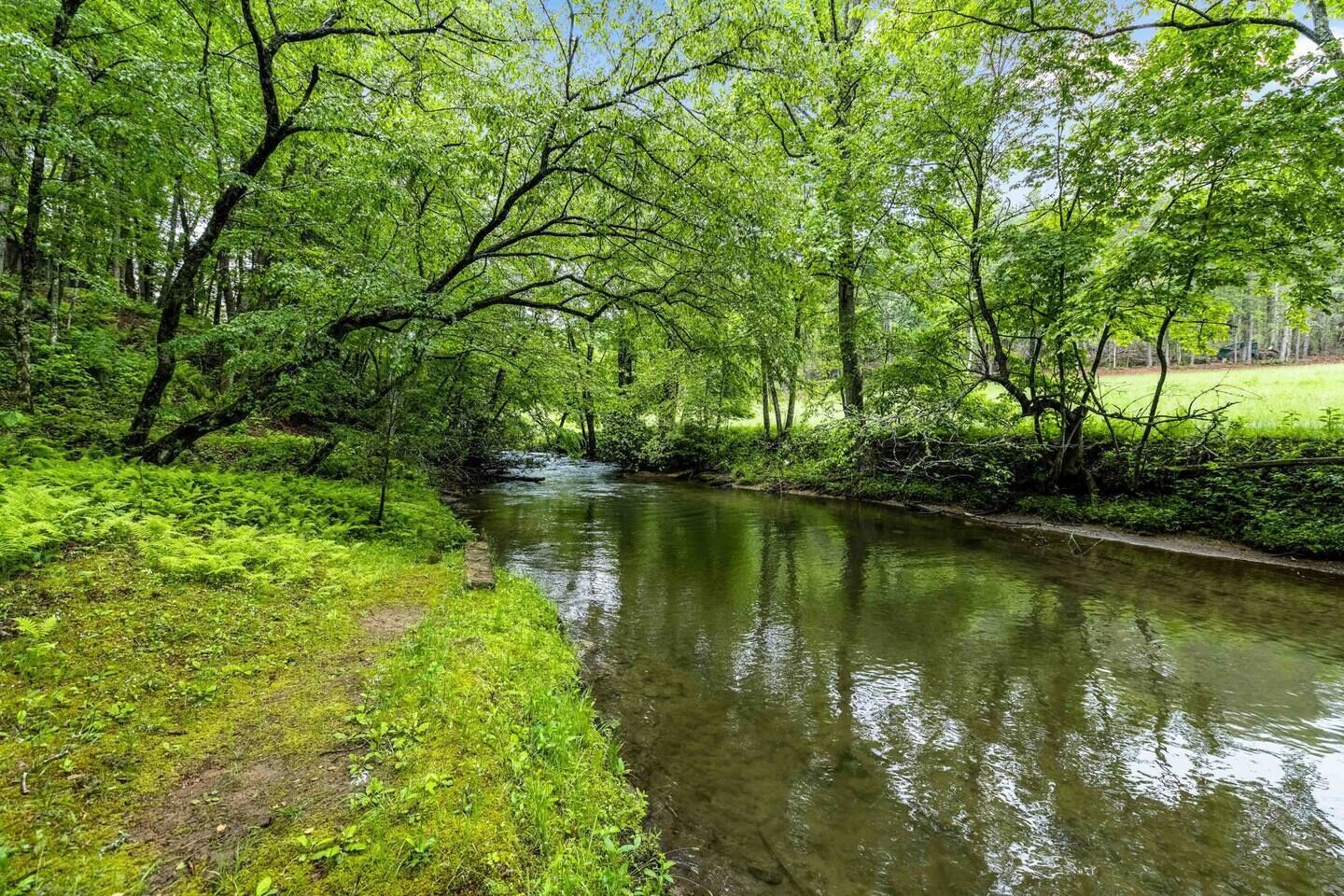 A serene river flowing through a lush, green forest.