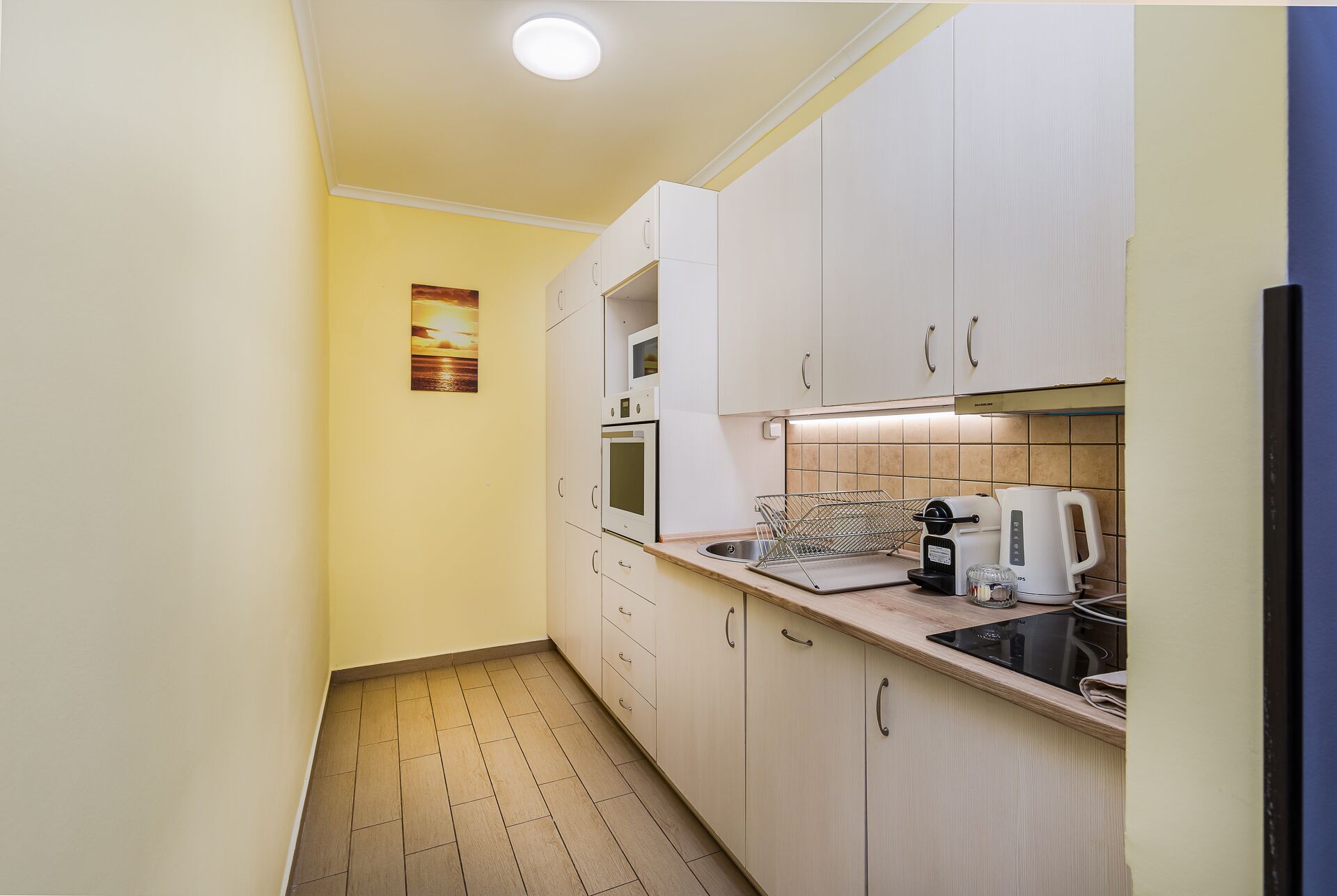 Luxury Apartment | Private kitchen | Fridge, microwave, oven, dishwasher