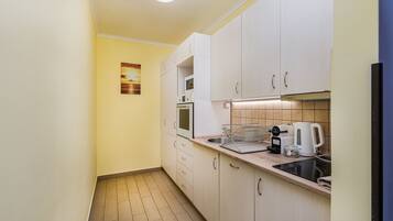 Luxury Apartment | Private kitchen | Fridge, microwave, oven, dishwasher