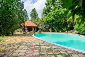 Pool - Private large rooms in green settings BeB option (Santo Domingo)