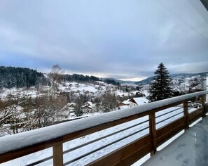 Property grounds - Balcon des Gouttridos, Imprenable vue lac 6p (Gérardmer)