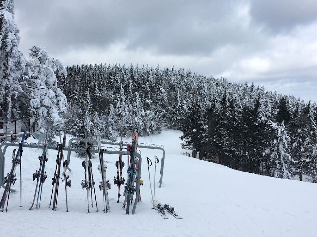 Eine Skipiste mit Skiständer und schneebedeckten Bäumen.