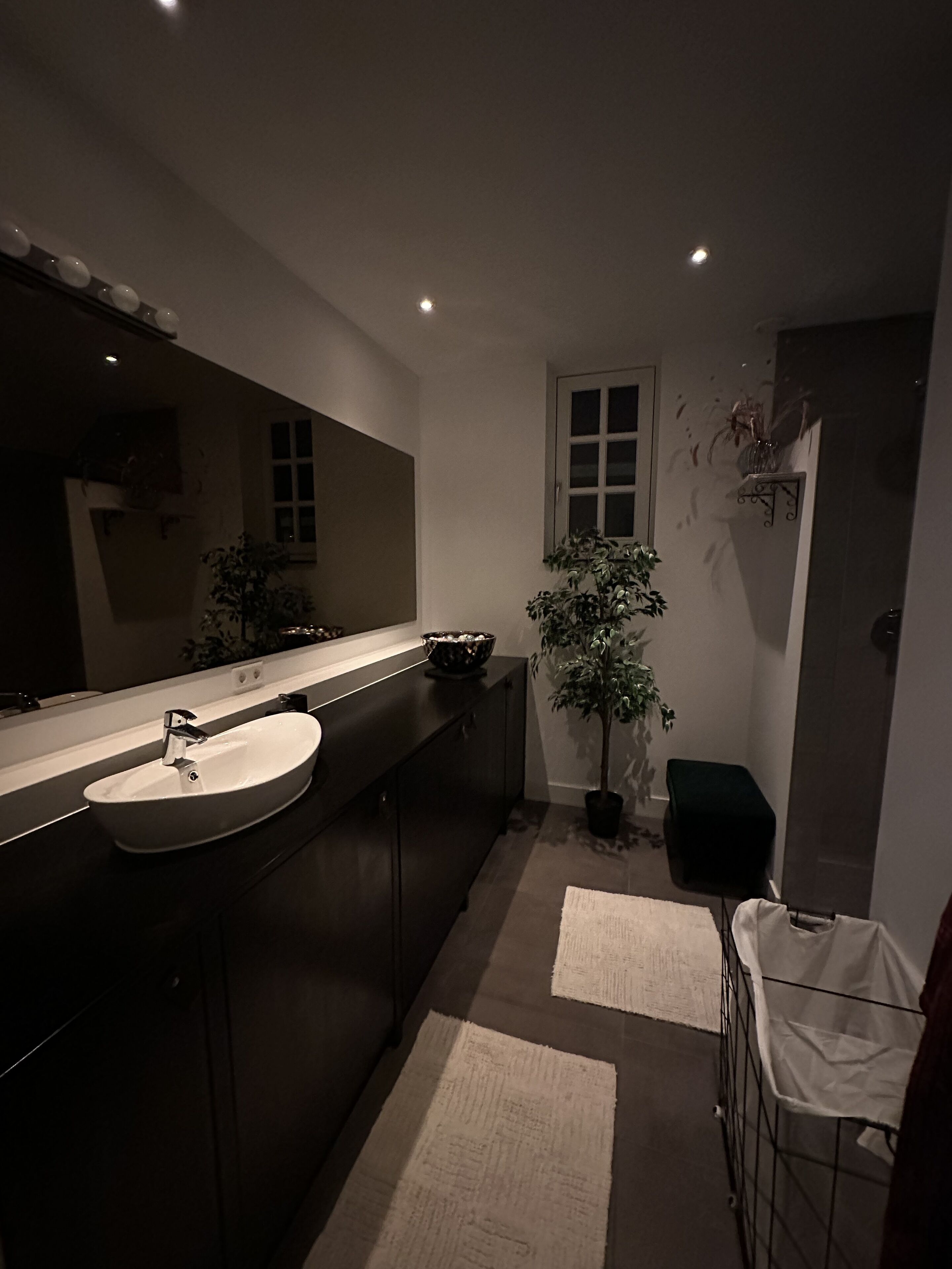 Un baño moderno con un espejo grande, muebles oscuros, un lavabo blanco, una planta en maceta y una zona de ducha.