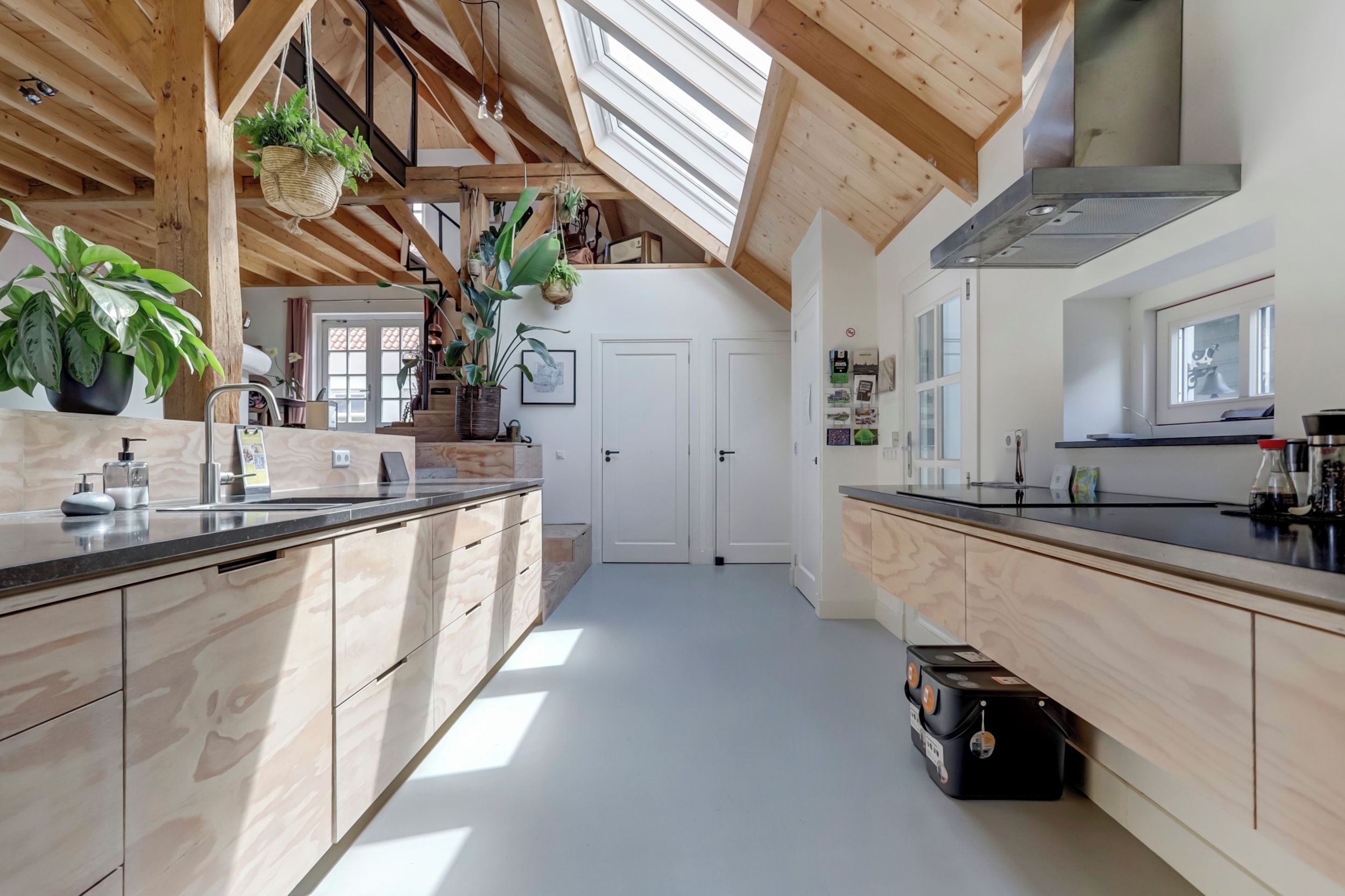 Una cocina moderna con vigas de madera, tragaluces y diversas plantas.