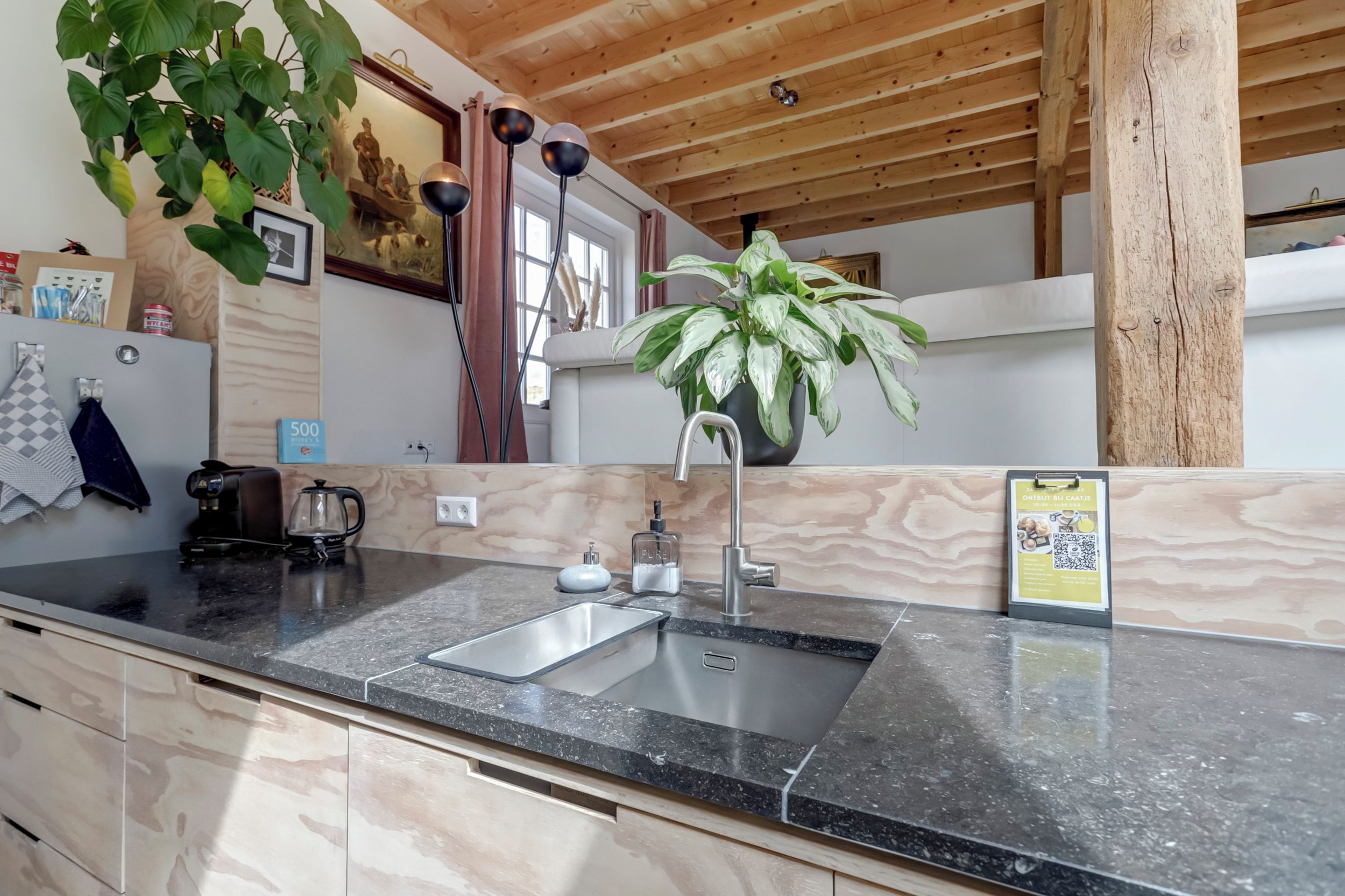 A modern kitchen with a granite countertop, stainless steel sink, and a potted plant.