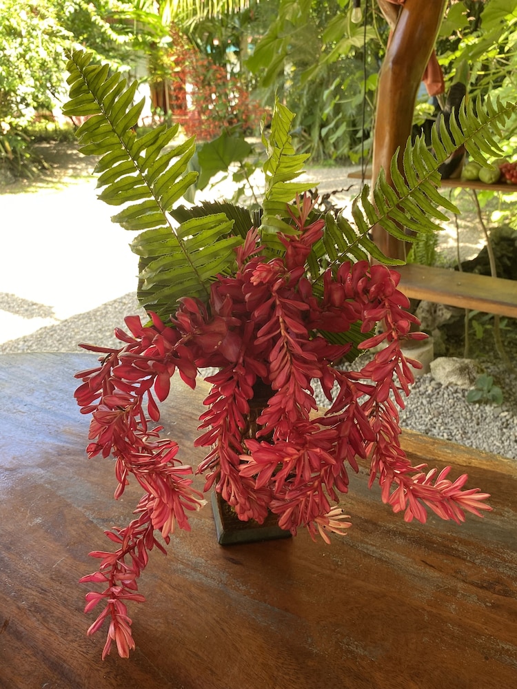 Cabinas Tito by null