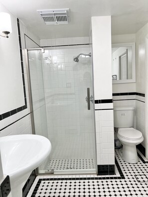 Shower, hair dryer, bidet, towels