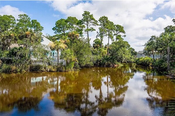 Une scène paisible au bord de la rivière, avec une maison entourée d’une végétation luxuriante et des arbres dont le reflet se mire dans l’eau calme.